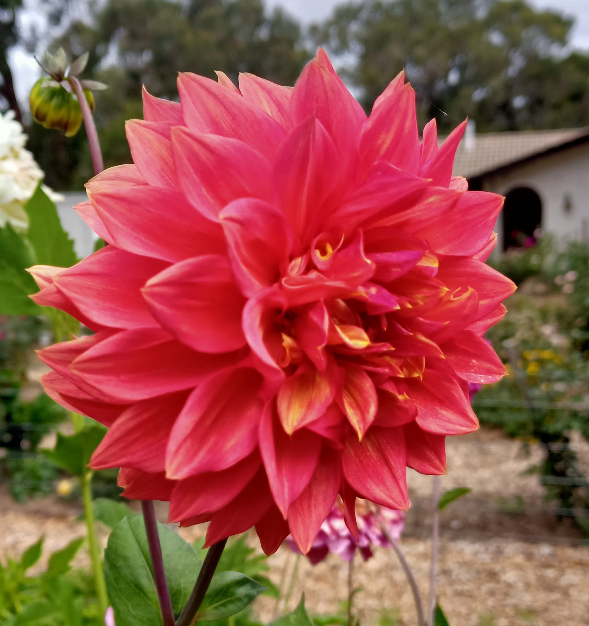 053bcd7e-947b-41ea-beec-d2f26b2e999e