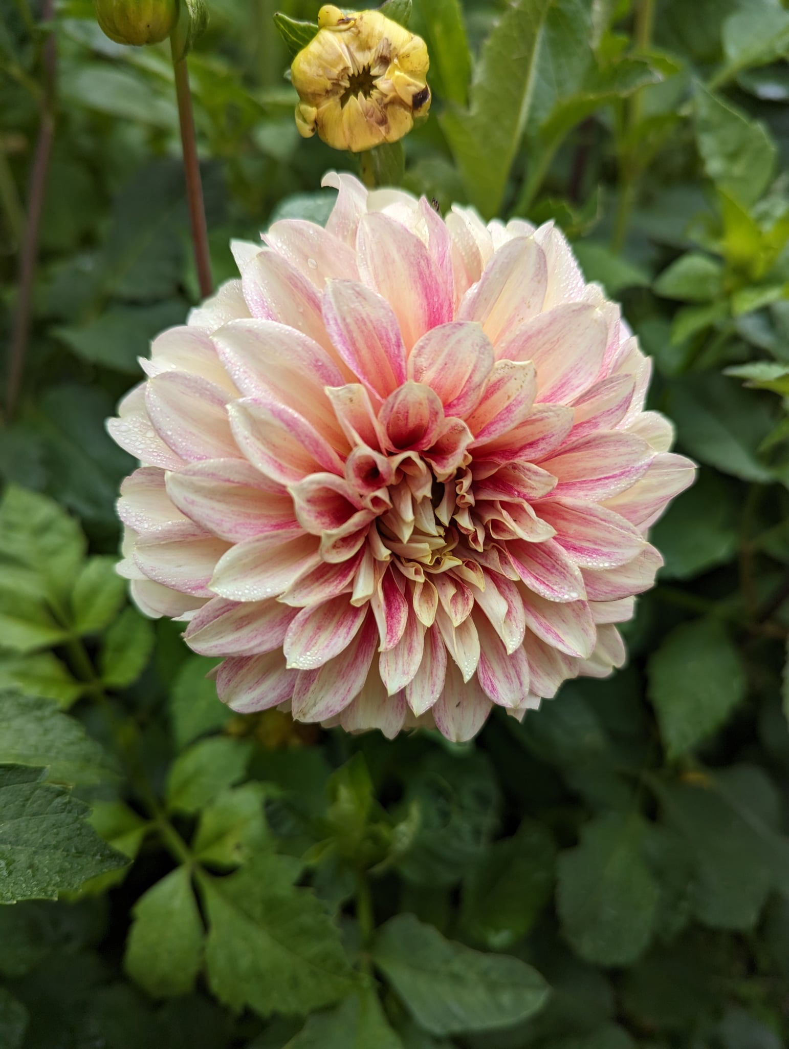 499d0372-4f00-4261-915f-3318d747112f