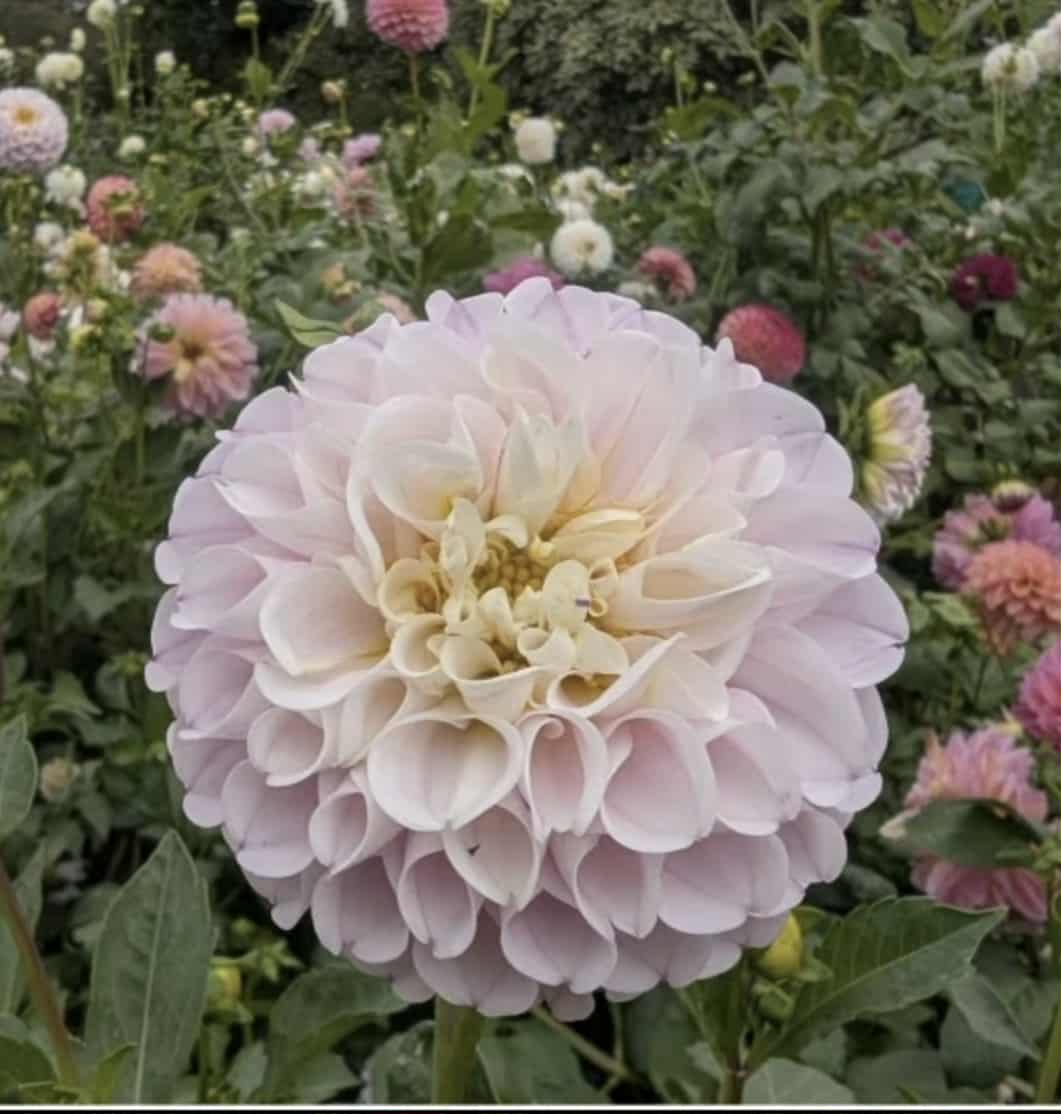 667eb023-6e70-4ea8-96f4-232e1b19f35d