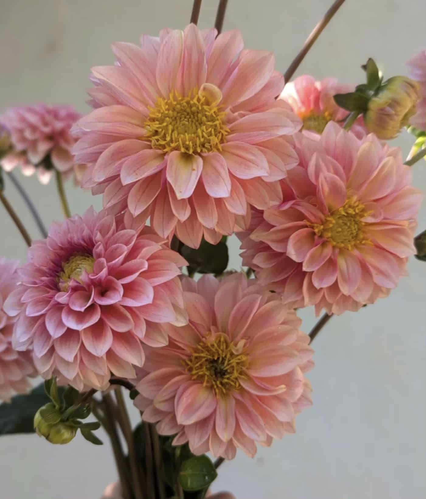 6b7a731e-5a9f-40db-81db-15aeca91a248 (1)