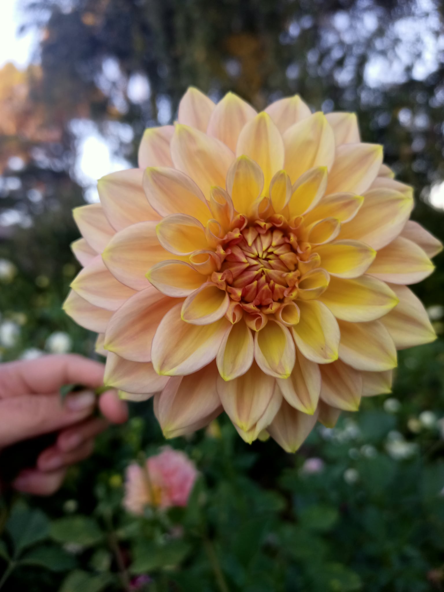 75abace0-eeed-4a7f-9d0a-26f716c7d116