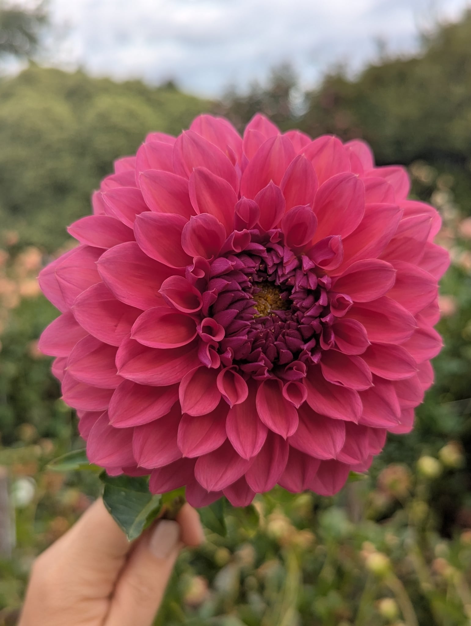 7a282171-9a6c-4b64-8b2a-d2509abc0a20