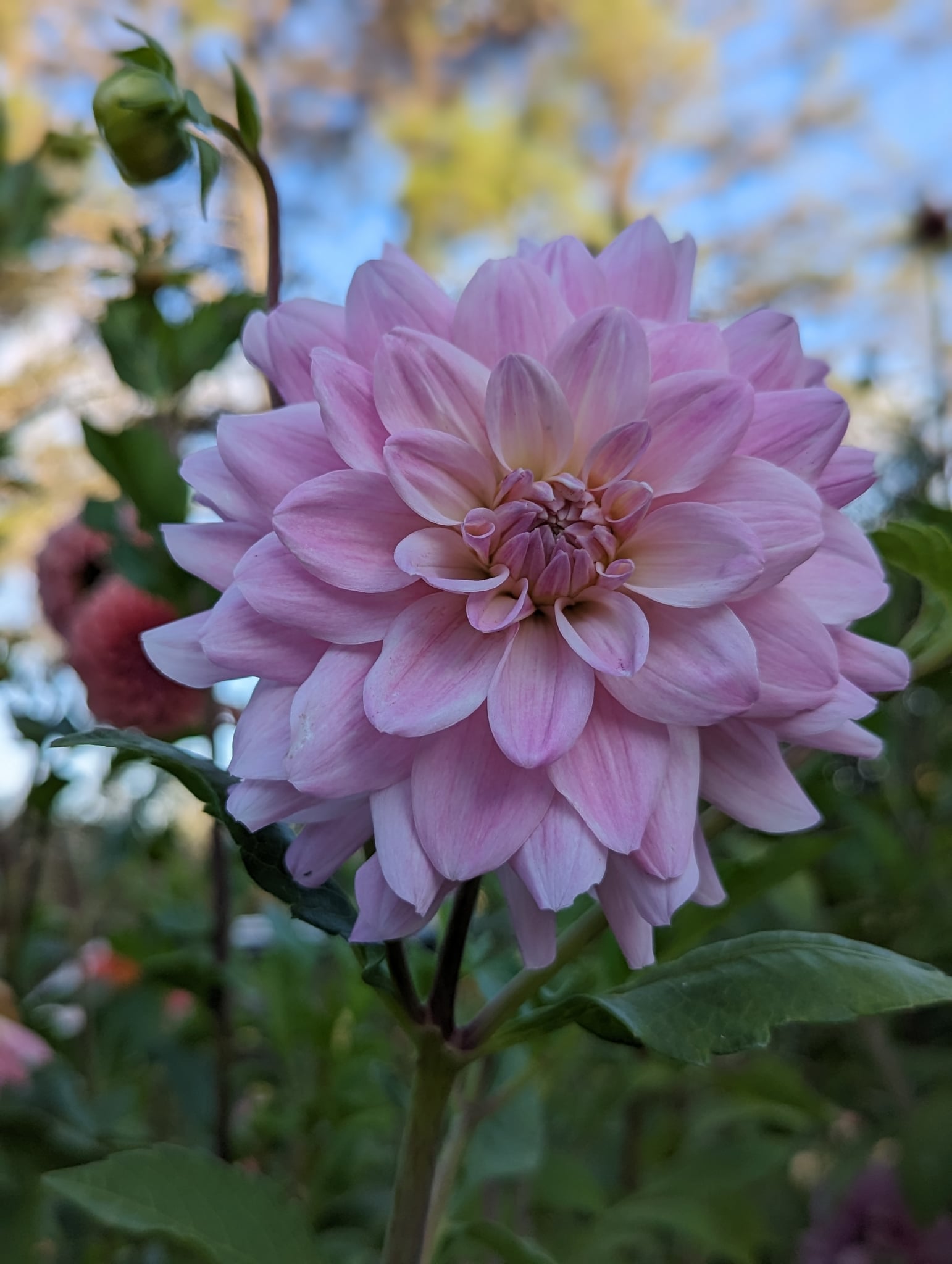 93f6f8d5-926e-4536-a5d7-0b2a40108d52