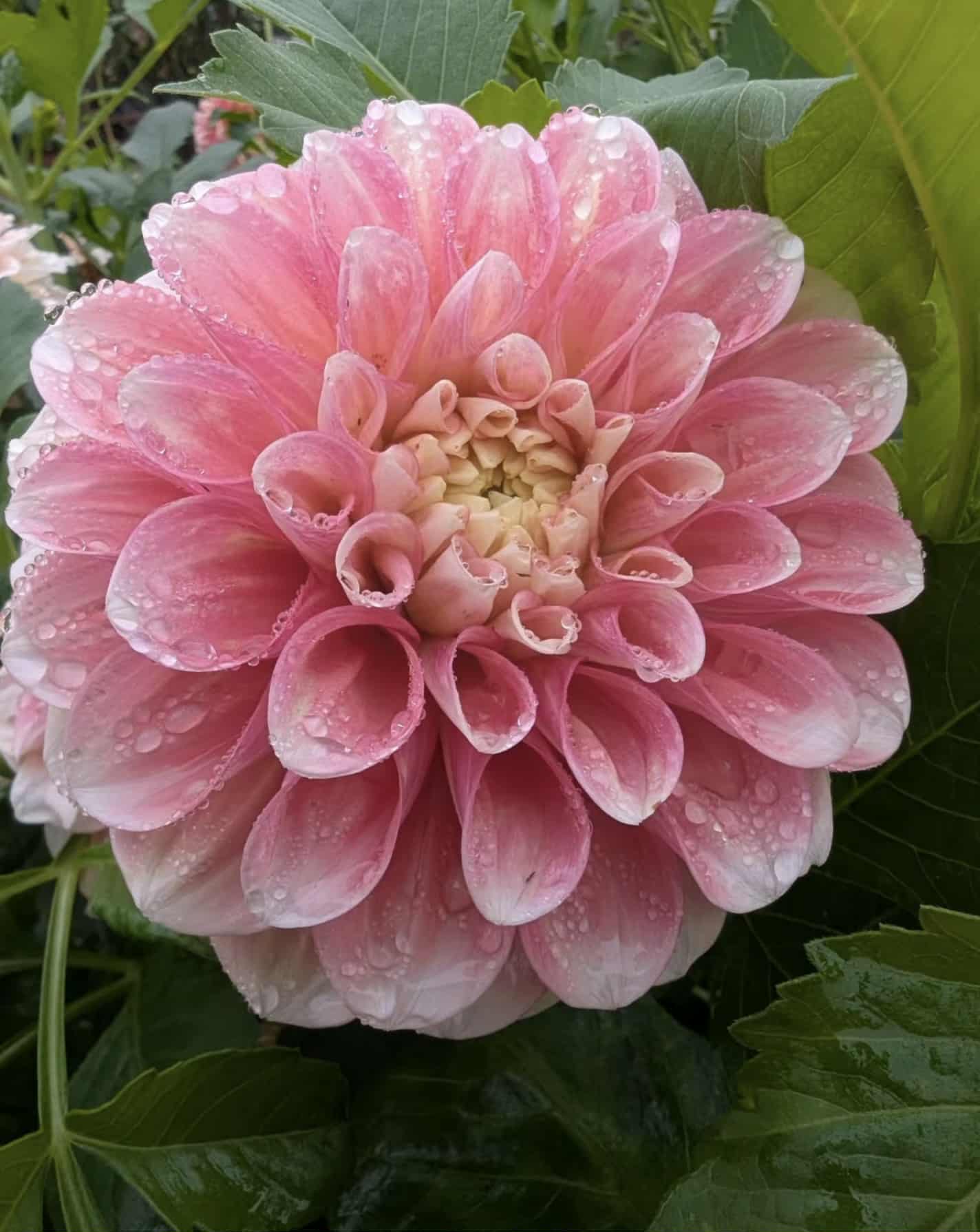 d0d2a3e9-d340-4fdb-9ae2-ad8d270738a6